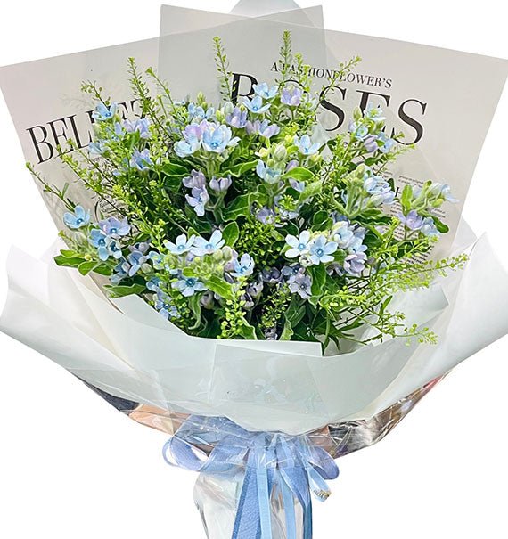 Tweedia Blue