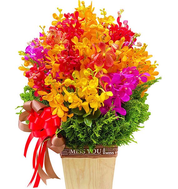 Vietnamese Womens Day Orchid Basket