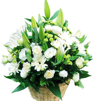 White Bloomlight