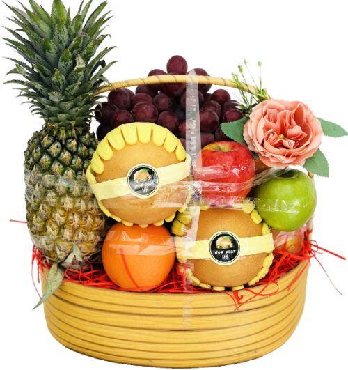 fresh fruit basket 14