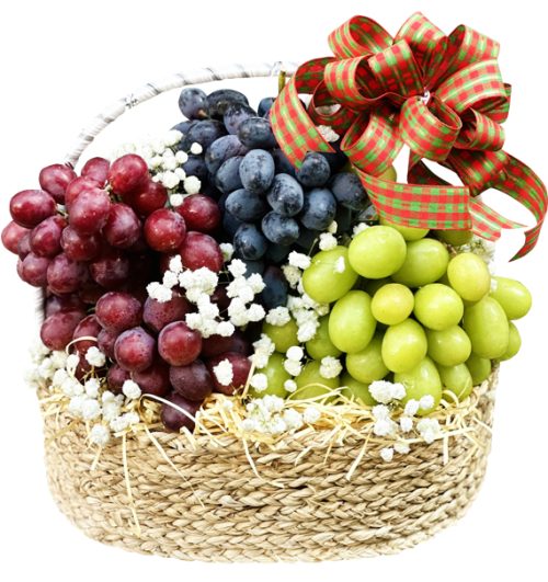 fresh grape basket