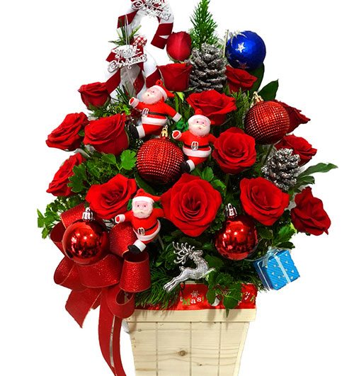 special-chirstmas-flowers-001
