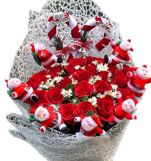special christmas flowers 04
