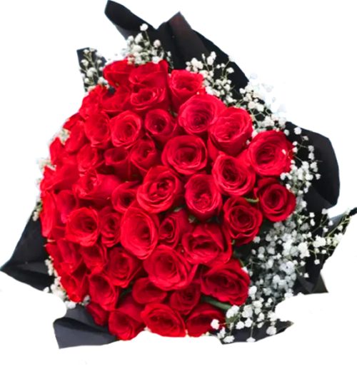36 Red Roses Valentine #1