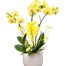 potted yellow orchid 003 branches 500x531