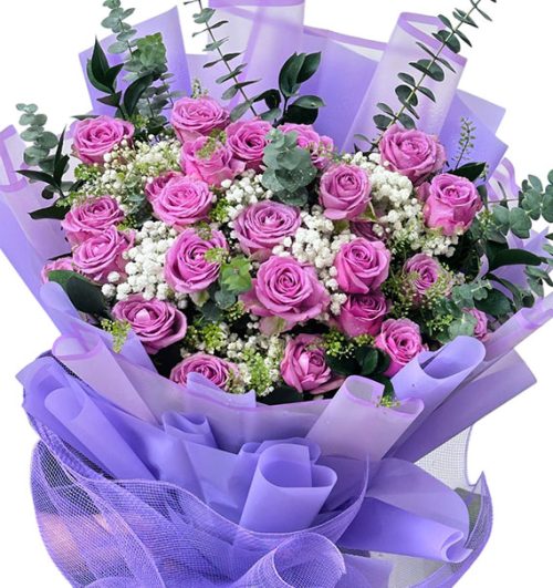 24 purple roses womens day vietnam