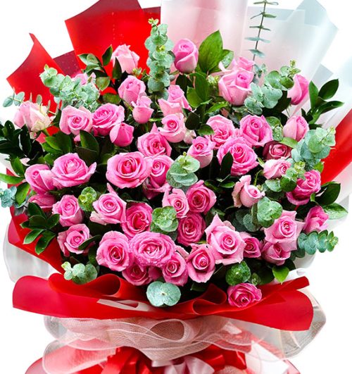 48 pink roses valentine vietnam 01