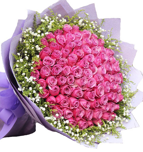 99 Purple Roses – Women’s Day