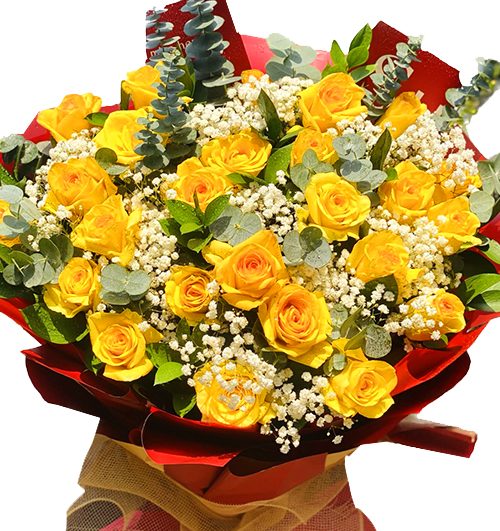 24 yellow roses mothers day