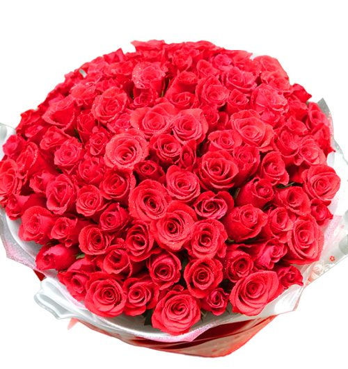 99 red roses