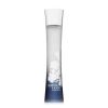 Armani Code Summer Pour Femme 2010 EDT