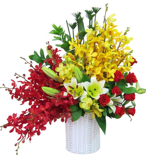 special mothers day orchids 11