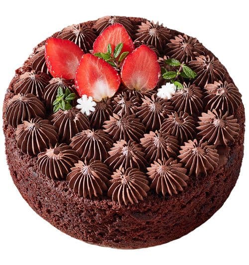 special cake 21 500x531
