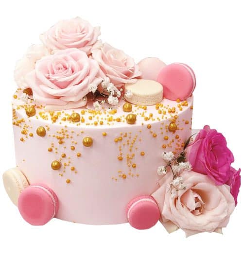 special cake 23 500x531