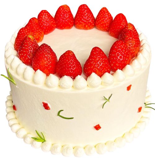 fruit cake 36