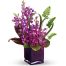lavender orchids 500x531