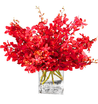 red-orchid-02