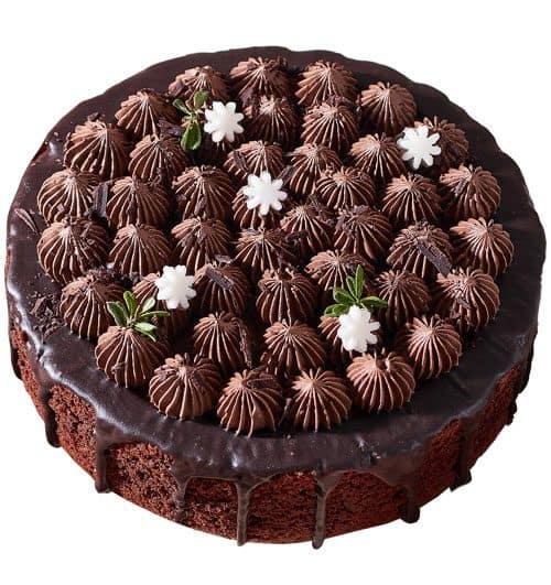 special cake 24 500x531