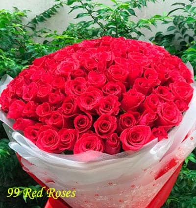 Vietnamese Women's Day Roses 02, 99 Red Roses Heart