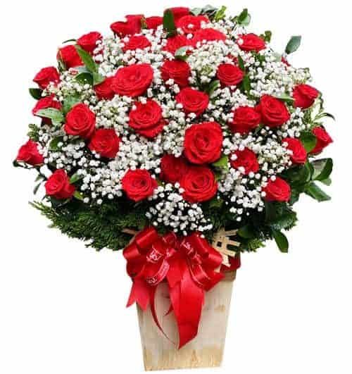 vietnamese-womens-day-roses-033