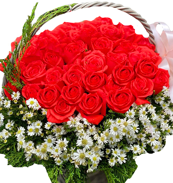 vn-womens-day-roses-049