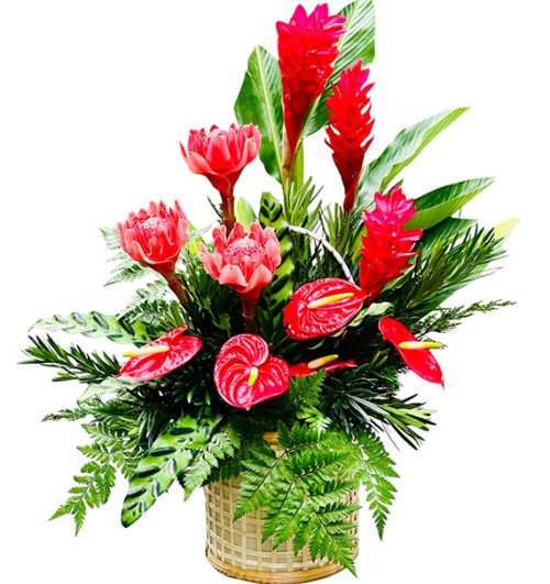 christmas flowers 35b