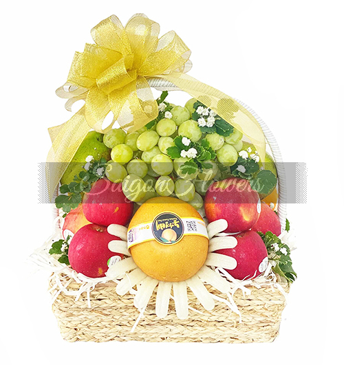 christmas-fruits-01