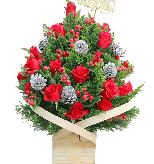 special-chirstmas-flowers-008