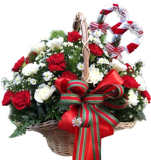 special-christmas-flowers-006