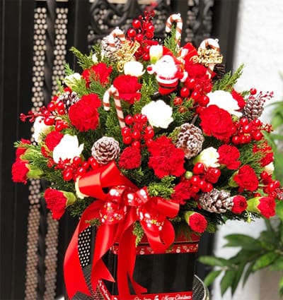 Special Christmas Flowers 02