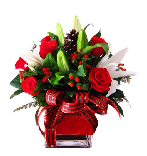 special christmas flowers 07