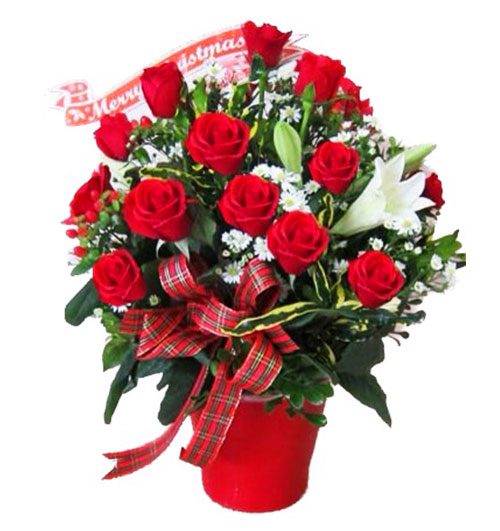 special christmas flowers 10