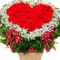 special-christmas-flowers-18