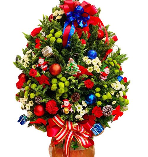 special christmas flowers vietnam 07