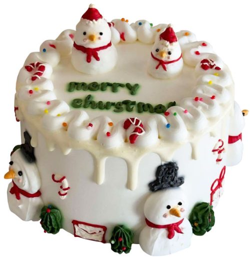 xmas cake vietnam 08