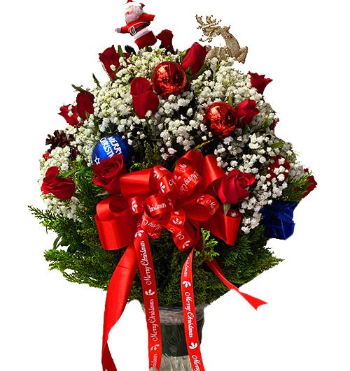 special christmas flowers 20