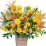 tet flowers 24a