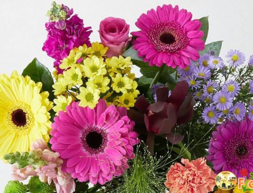 Send flowers to TPHCM