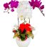 womens day orchids potted vietnam 19a