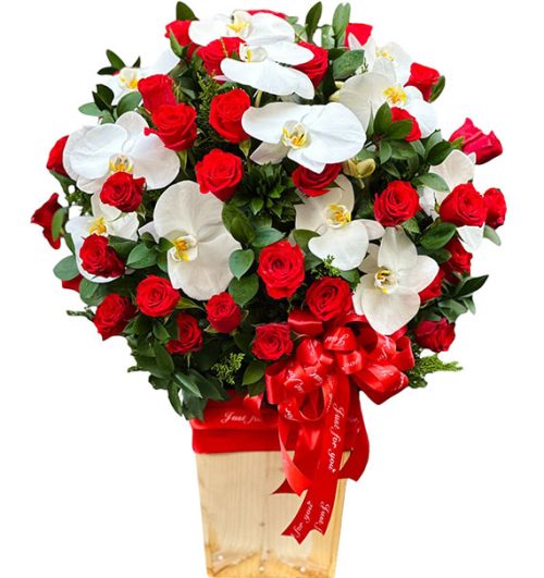 special mothers day orchids 15
