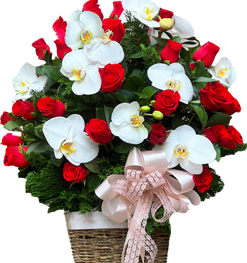 special flowers fathers day 013 500x531