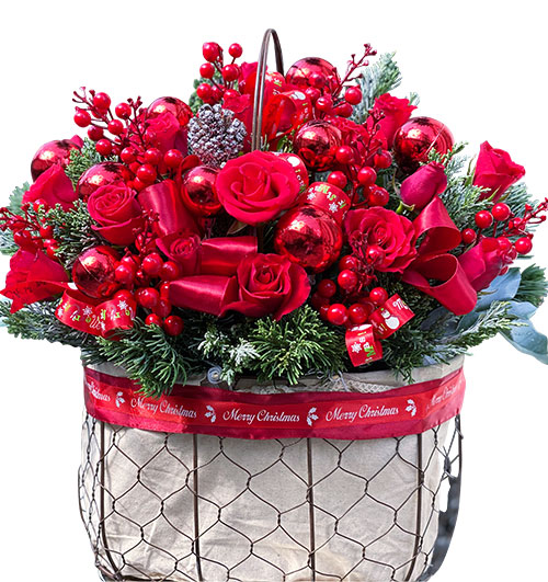 special christmas flowers 19