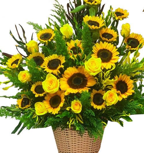 tet-flowers-018