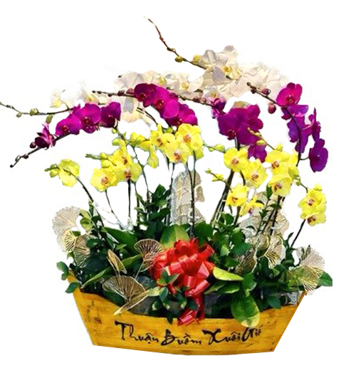 special-orchids-for-tet-004