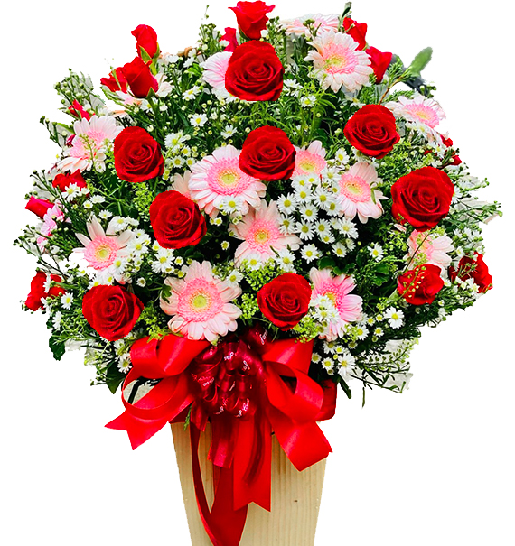 Special Vietnamese Women's Day Roses 18