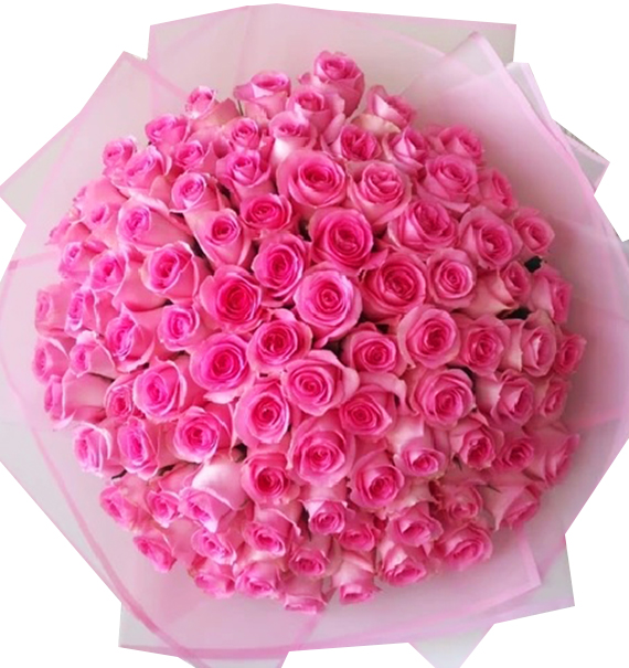 99 pink roses valentine vietnam