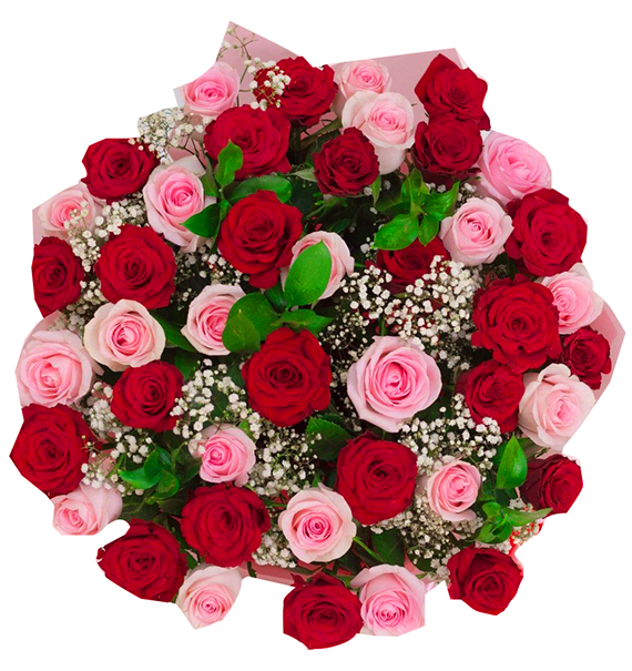 36 Mixed Roses Valentine-#2