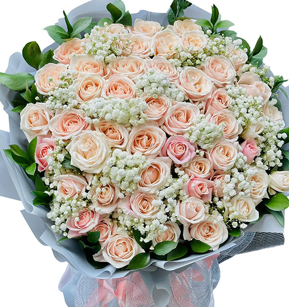 48 peach roses womens day vietnam