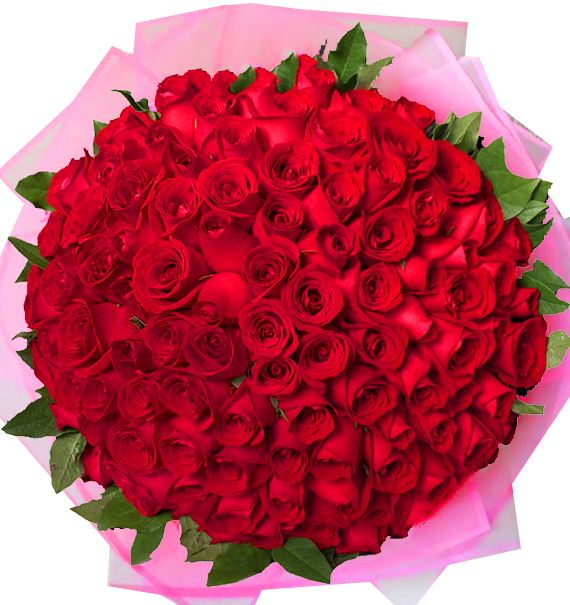 99 Red Roses - Valentine #1, Roses For Valentine Vietnam