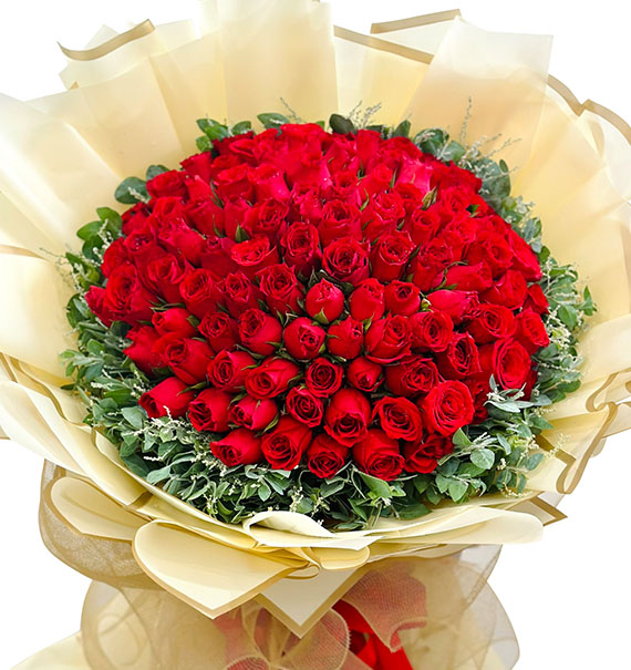 99 red roses valentine vietnam 01